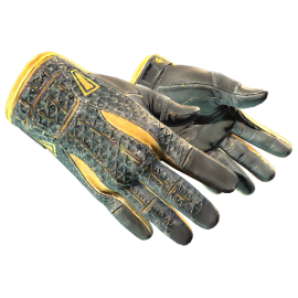 ★ Sport Gloves | Omega (Field-Tested)