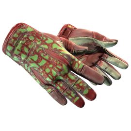 ★ Sport Gloves | Bronze Morph (Well-Worn)