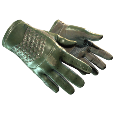 ★ Driver Gloves | Racing Green (Field-Tested)