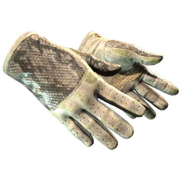 ★ Driver Gloves | King Snake (Battle-Scarred)