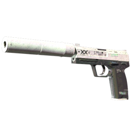 StatTrak™ USP-S | Printstream (Battle-Scarred)