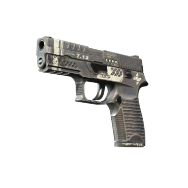 StatTrak™ P250 | Re.built (Field-Tested)