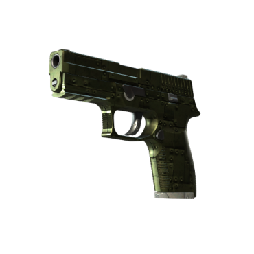 P250 | Iron Clad (Field-Tested)