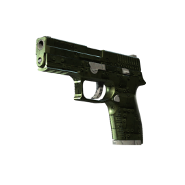 P250 | Iron Clad (Factory New)