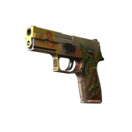 P250 | Inferno (Field-Tested)
