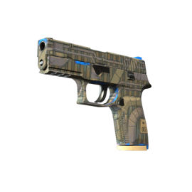P250 | Exchanger (Factory New)