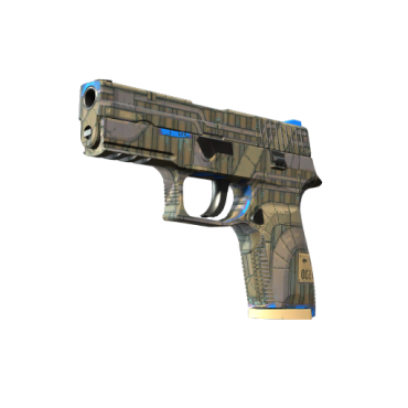 P250 | Exchanger (Minimal Wear)