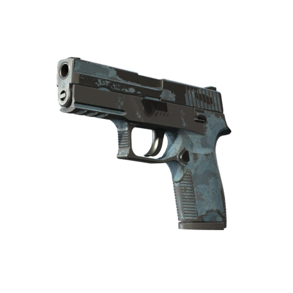 P250 | Forest Night (Battle-Scarred)