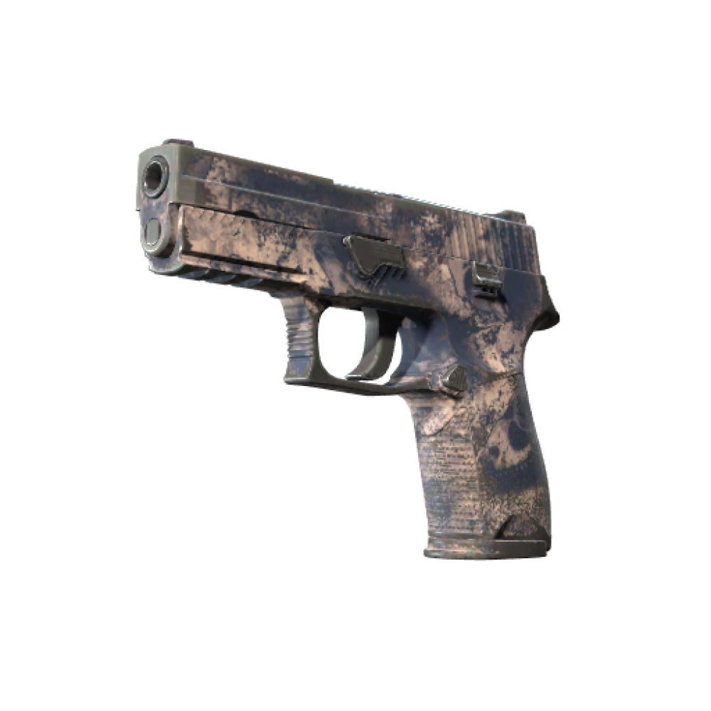 P250 | Drought (Well-Worn)