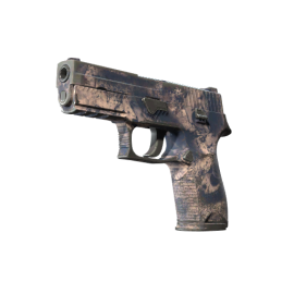 P250 | Drought (Well-Worn)