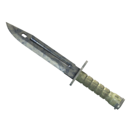 ★ StatTrak™ Bayonet | Stained (Well-Worn)