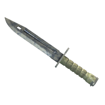 ★ StatTrak™ Bayonet | Stained (Well-Worn)