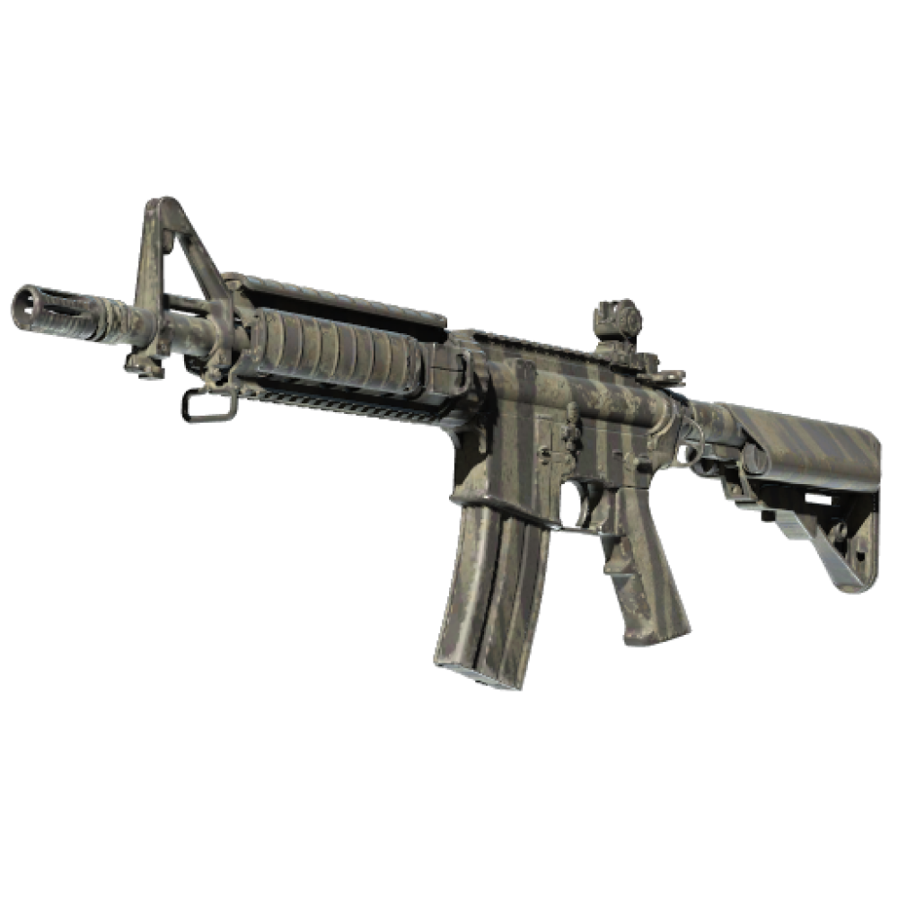 StatTrak™ M4A4 | Faded Zebra (Field-Tested)
