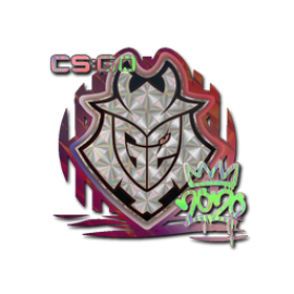 Sticker | G2 (Holo) | 2020 RMR