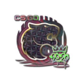 Sticker | FURIA (Holo) | 2020 RMR