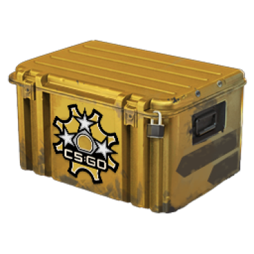 Revolver Case