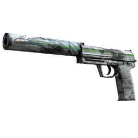 USP-S | Road Rash (Field-Tested)