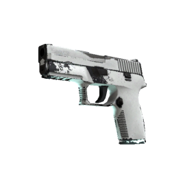 P250 | Whiteout (Field Tested)