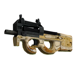 StatTrak™ P90 | Shapewood (Well-Worn)