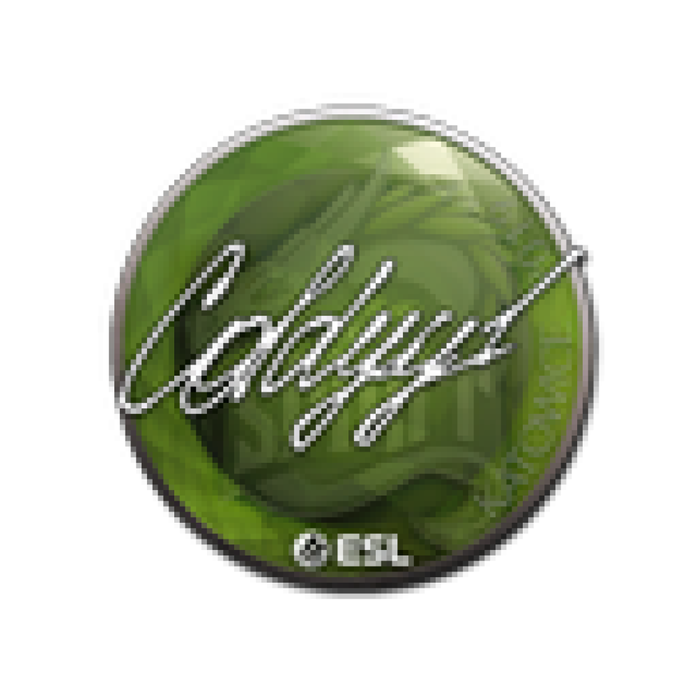 Sticker | COLDYY1 | Katowice 2019