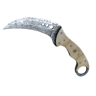 StatTrak™ Talon Knife | Damascus Steel (Field-Tested)