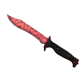 StatTrak™ Bowie Knife | Slaughter (Factory New)