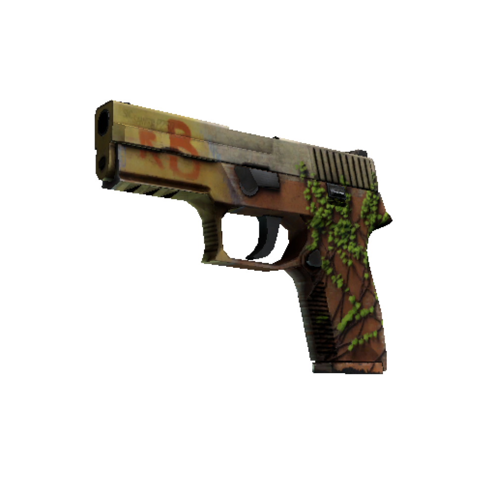 StatTrak™ P250 | Inferno (Well-Worn)