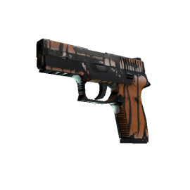 P250 | Bengal Tiger (Battle-Scarred)