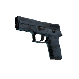 P250 | Forest Night (Factory New)