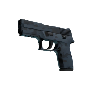 P250 | Forest Night (Factory New)