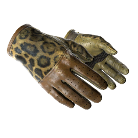 Driver Gloves | Queen Jaguar (Well-Worn)