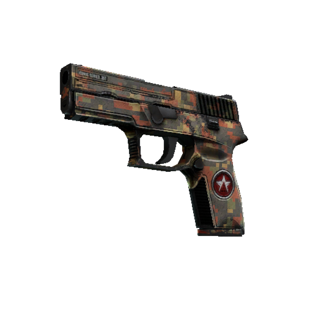 P250 | Red Rock (Battle-Scarred)