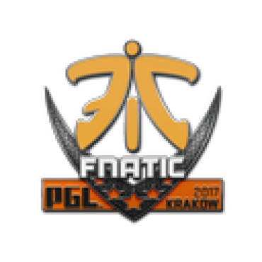 Sticker | fnatic | Krakow 2017