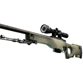 AWP | Safari Mesh (Minimal Wear)