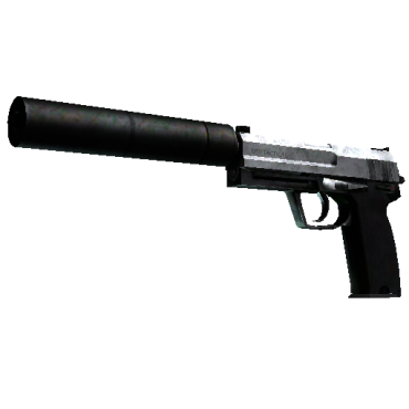 USP-S | Stainless (Battle-Scarred)